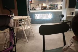 Mismico