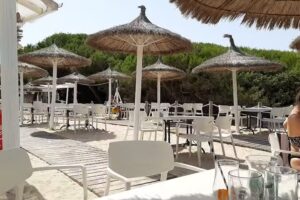 Natura beach -Balneario 7 – Playa De Muro