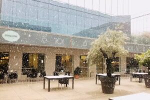 Natural Lunch La Finca