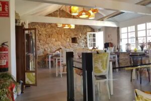 O Cipr&eacute;s de Villaverde