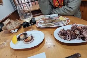 O Vi&ntilde;edo de Tito