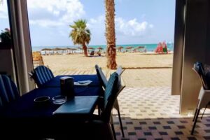 Ocean Front International