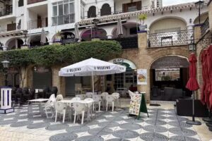 Olaf&rsquo;s Monarch