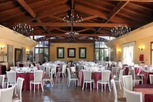 Olivar de Santa Teresa S.L.