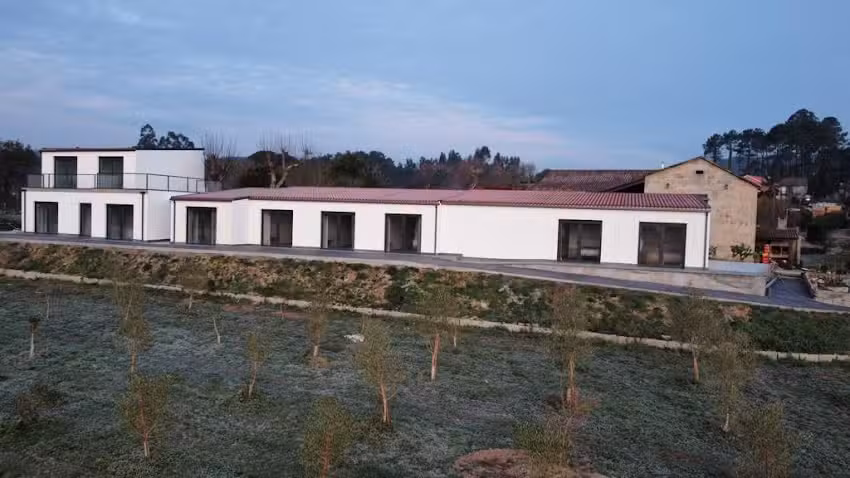 Olivo de Reis