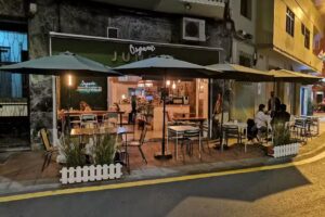 Organic Jungle Brunch and specialty coffee