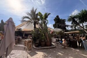 PaloSanto Ibiza