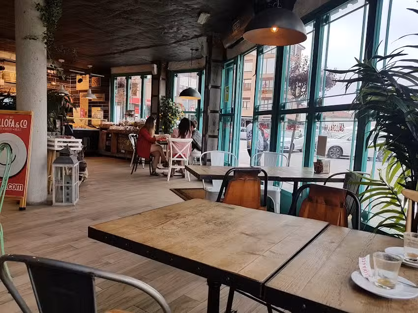 Panader&iacute;a Gallofa&Co