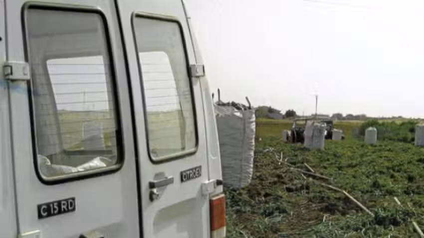 Patatas Eufemio Romero