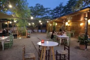 PATI PIZZA &ndash; La Jornalera