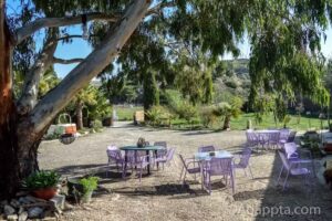 Peña gastronómica y Vinicola El Berrueco