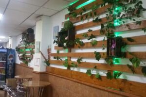 PIZZERIA CENTURI&Oacute;N ALCAUDETE