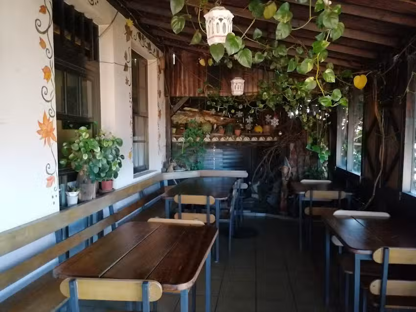 Pizzeria Flor de Lotus