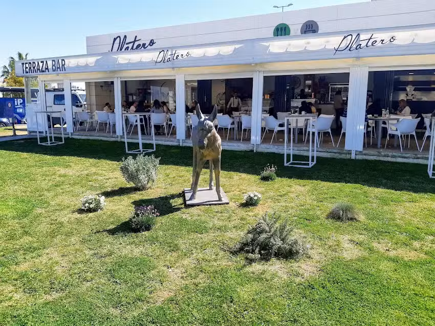 Platero Terraza Bar