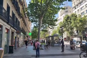 Plaza del carmen madrid