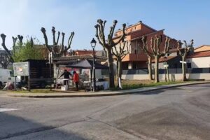 Pollastres Folgueroles