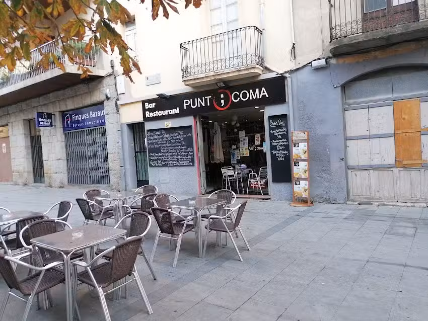 Punto y Coma