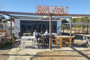 Pura Vida