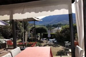 Restaurant Basset
