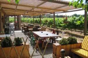 Restaurant Cal Cassoles