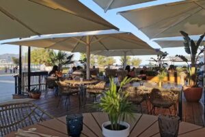 Restaurant Pollo Pollo Playa