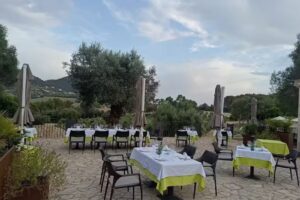 Restaurant Treurer Olive Grove
