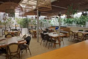 Restaurante Allende 22&ordm;