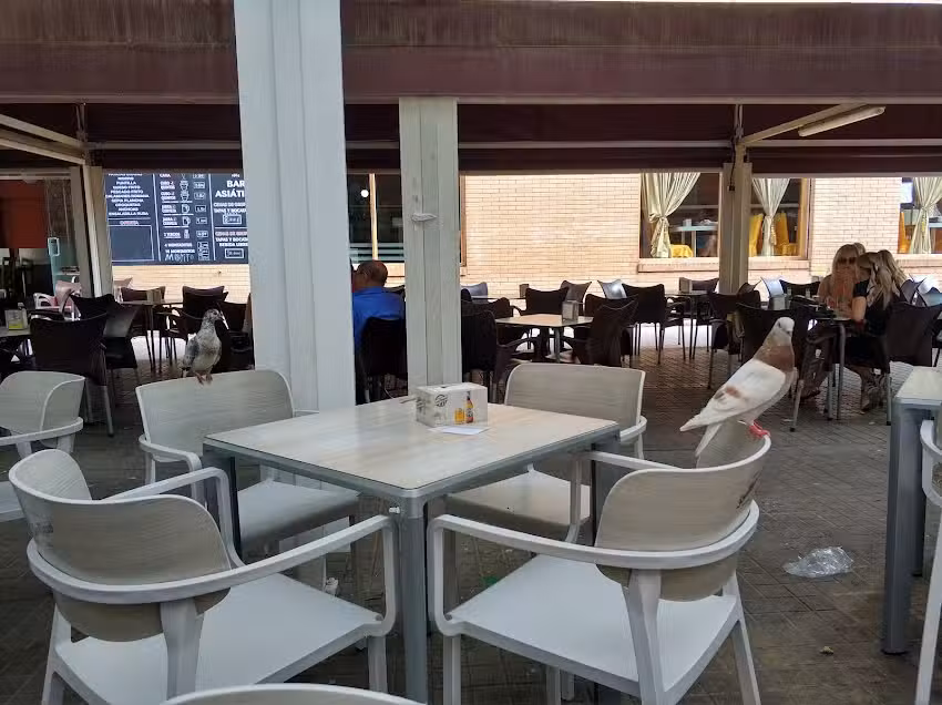 Restaurante Asi&aacute;tico