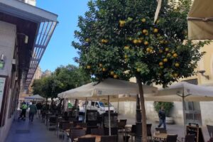 Restaurante Avenida Restauraci&oacute;n