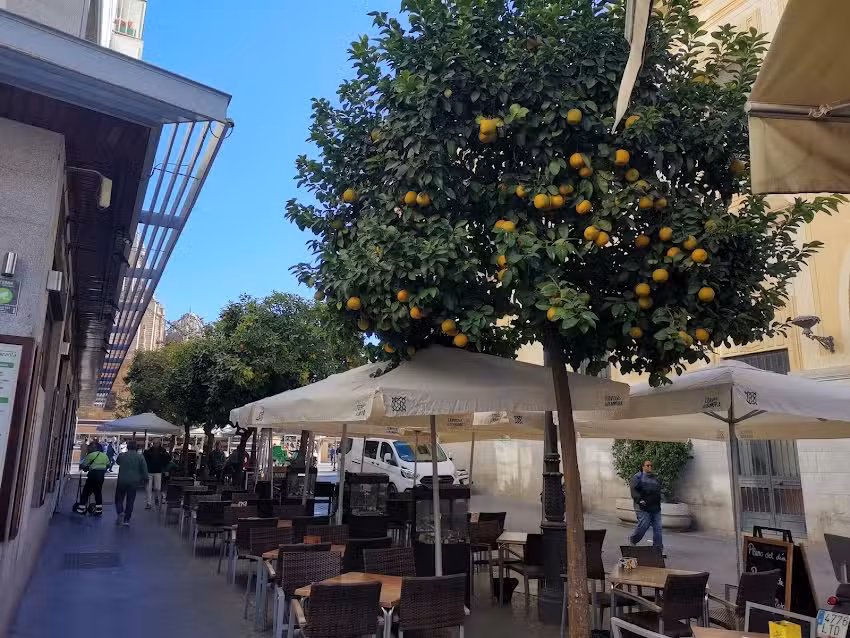 Restaurante Avenida Restauraci&oacute;n