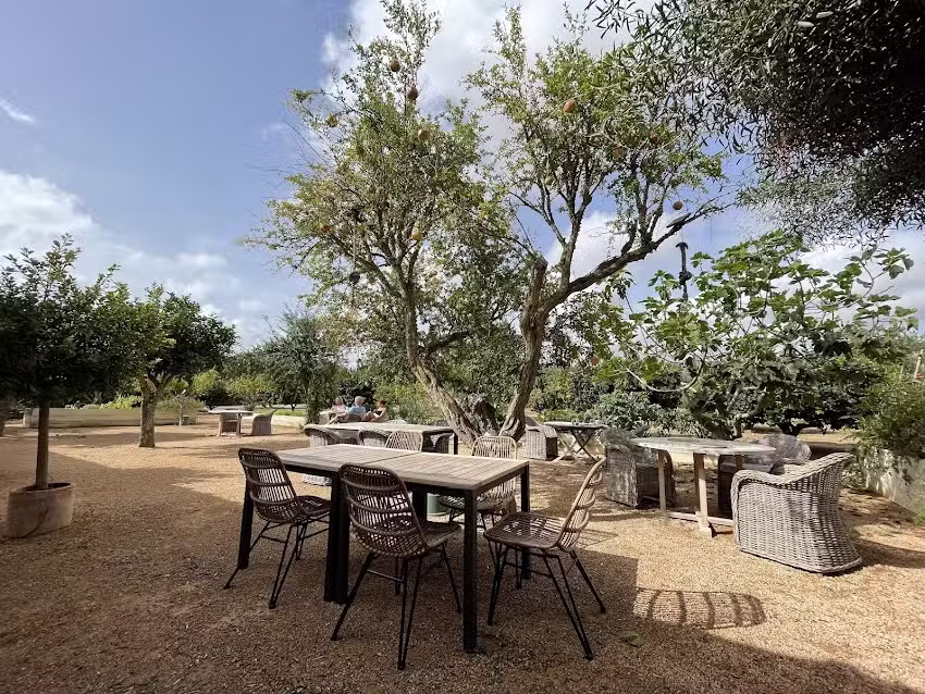 Restaurante Can Arabi Ibiza