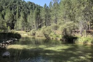 Restaurante del Camping Garrote Gordo