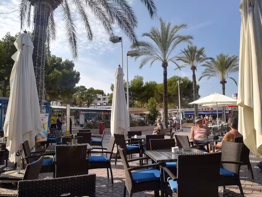 Restaurante Dolphin Palmanova