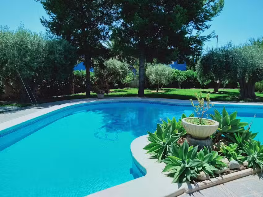 Restaurante el nakhil