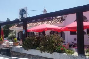 Restaurante El Olivo