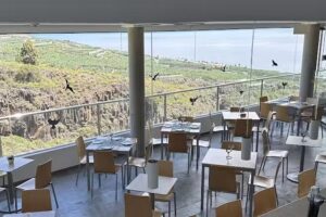 Restaurante Gastrobar El Tendal