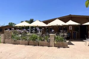 Restaurante Grill LeSazon