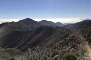 Restaurante Los Pastores