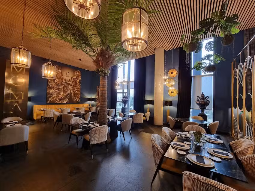Restaurante MOMA Experience.
