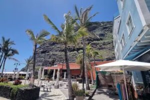 Restaurante Playa Mont