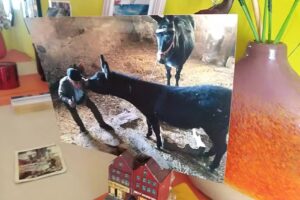 Restaurante Sal&oacute;n Latino