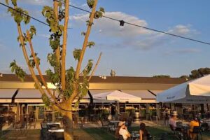 Restaurante SELV&Aacute;TICO Valladolid