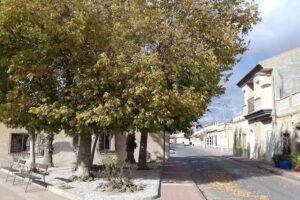 Restaurante Strategos