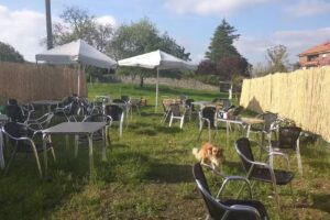 Rinconcito de Solorzano