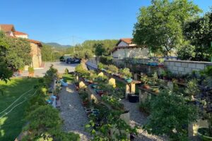 Romanca Hotel Restaurante