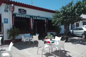 Rte. La Higuera &ndash; Arrocer&iacute;a