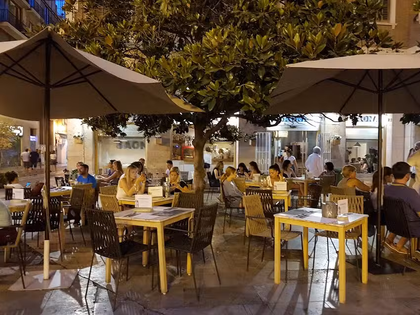 Saona Plaza de la Virgen