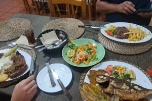 Saz&oacute;n De Mi Tierra