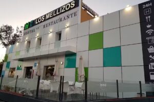 SERVI-RUTA LOS MELLIZOS, S.L.U.