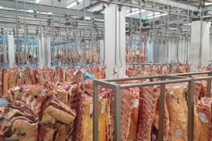 Sidrer&iacute;a El Cuetu